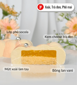 banh-entremet-mini-moi-2