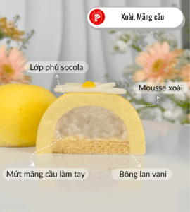 banh-entremet-mini-moi-5