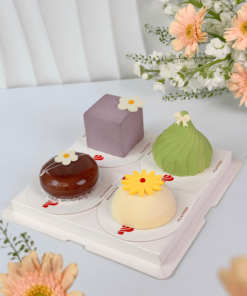 banh-entremet-mini-moi-10