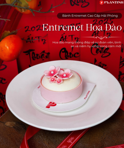 banh-entremet-mini-tet-2