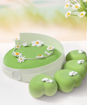 Set 5 Bánh Entremet Garden Whisper Green