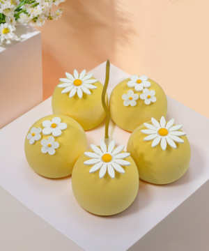 Set 5 Bánh Entremet Daisy Sunshine - Ảnh 2