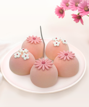 Set 5 Bánh Entremet Soft Petal