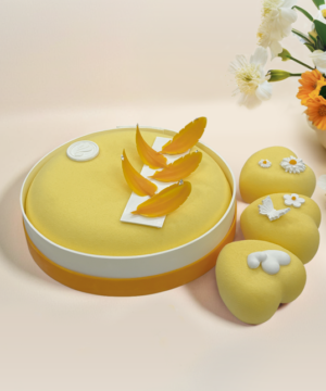 Set 4 Bánh Entremet Lucent Whisper Yellow