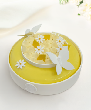 Bánh Entremet Butterfly Garden