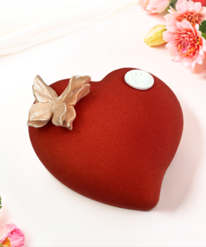 Bánh Entremet Whispering Wings