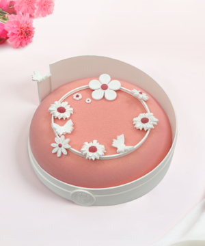 Bánh Entremet Coco Choco Dream Pink