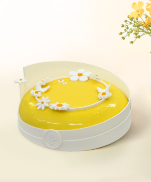 Bánh Entremet Coco Choco Dream Yellow