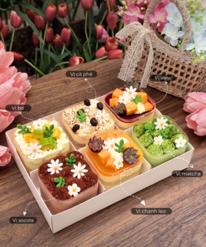 Set 6  Cốc Bánh Mousse Mix Vị