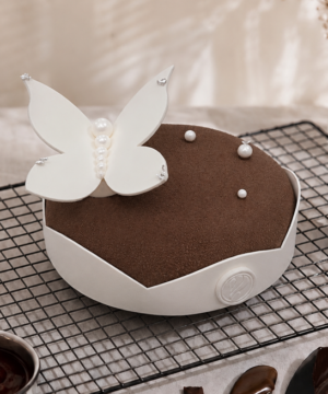 Bánh Entremet Mystic Wings Pink Brown